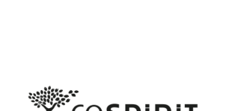 CoSpirit remporte le budget média France de PortAventura World