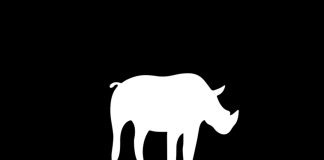 Les Inrockuptibles choisissent La Chose pour accompagner leur nouvelle plateforme de communication