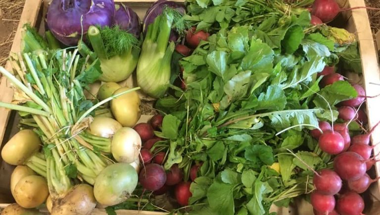 Agriculture bio : le coup dur des coupes budgétaires de l’Agence Bio