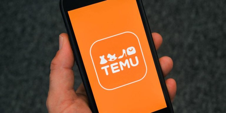 Temu accélère sa conquête du marché français