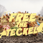 Effy déploie sa campagne avec Steve