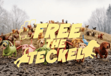 Effy déploie sa campagne avec Steve