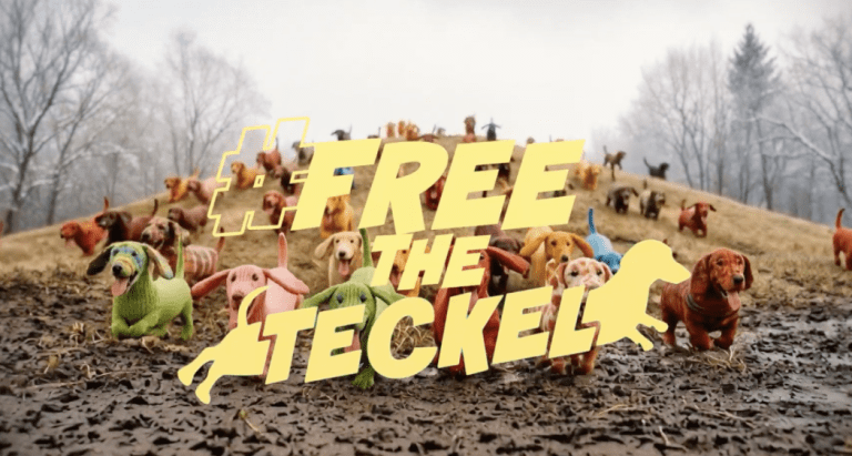 Effy déploie sa campagne avec Steve 