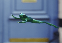 OMD accompagne le grand retour de la Twingo