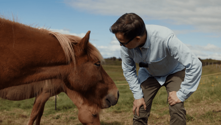 Icelandair s’attaque à la création d’images par IA