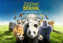 Le ZooParc de Beauval recrute ses ambassadeurs pour sa deuxième participation à la Caravane du Tour de France