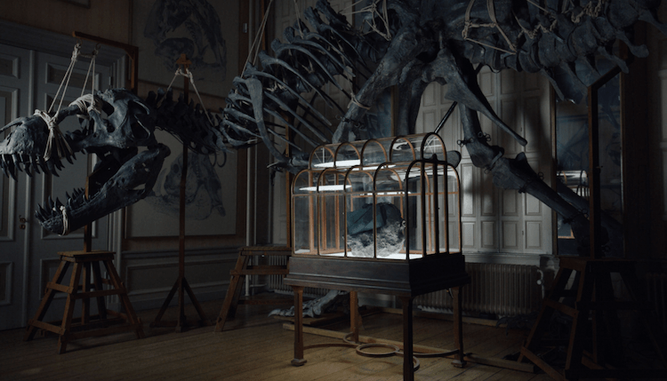 VML dévoile le tout premier sac fabriqué à partir de colagène de T-Rex 