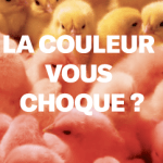 Astellas Pharma France alerte sur ce symptôme qui peut cacher un cancer de la vessie