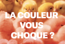 Astellas Pharma France alerte sur ce symptôme qui peut cacher un cancer de la vessie