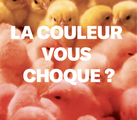 Astellas Pharma France alerte sur ce symptôme qui peut cacher un cancer de la vessie