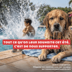 La Fondation 30 Millions d’Amis privilégie les solutions pour lutter contre l’abandon