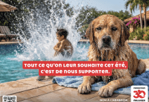 La Fondation 30 Millions d’Amis privilégie les solutions pour lutter contre l’abandon