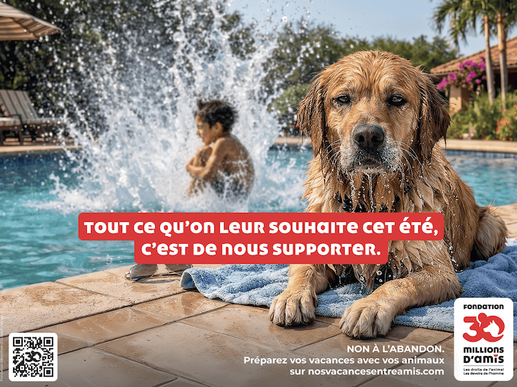 La Fondation 30 Millions d’Amis privilégie les solutions pour lutter contre l&rsquo;abandon