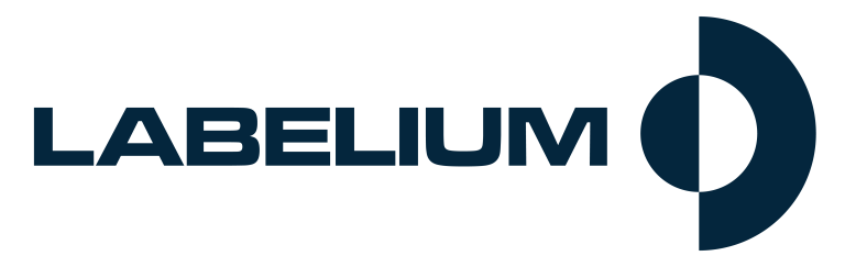 Labelium lance son Search Maturity Index