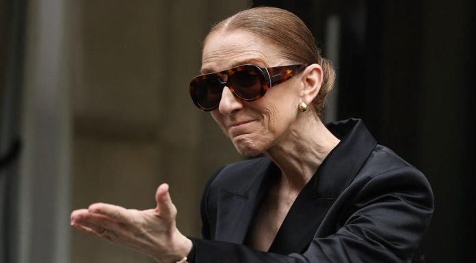 Céline Dion : les marques surfent sur son grand retour