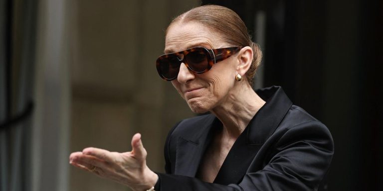 Céline Dion : les marques surfent sur son grand retour